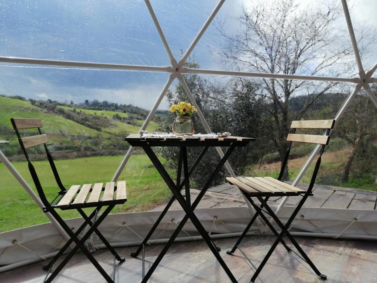 מלון גיחון Glamping Quintana מראה חיצוני תמונה