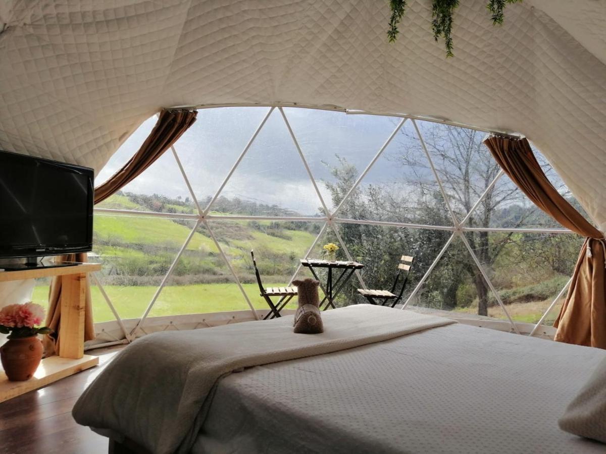 מלון גיחון Glamping Quintana מראה חיצוני תמונה